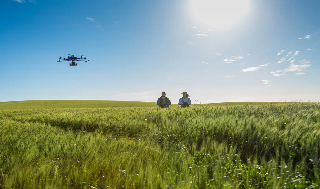 图片[1]-Spraying drones fly over orchards-msoen