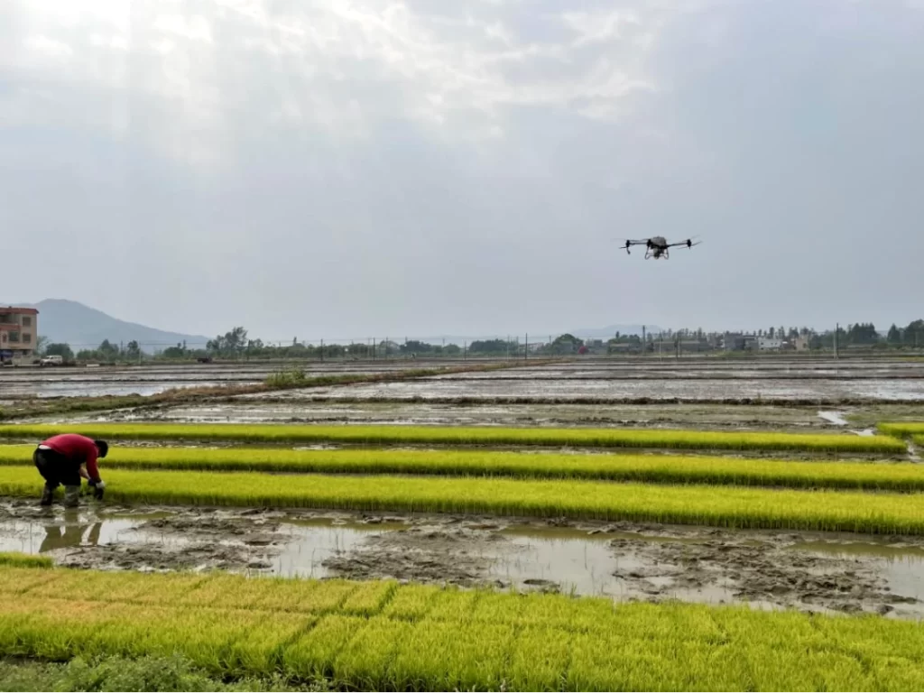 图片[1]-The big era of spraying drones helps spring plowing and high yield-msoen