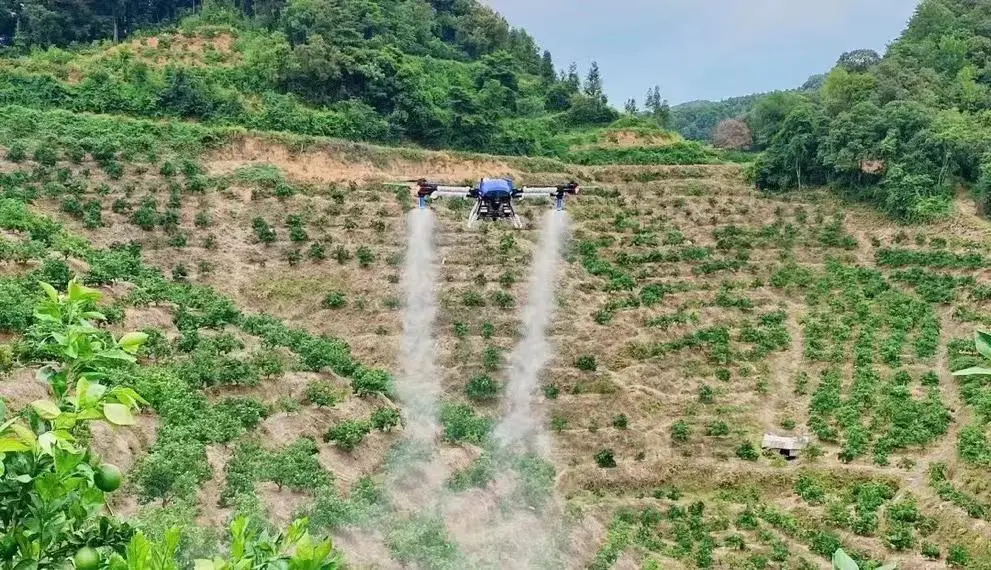 图片[1]-Sky drones, ground plant protection machines, and Haidian wheat fields showcase their technological prowess-msoen