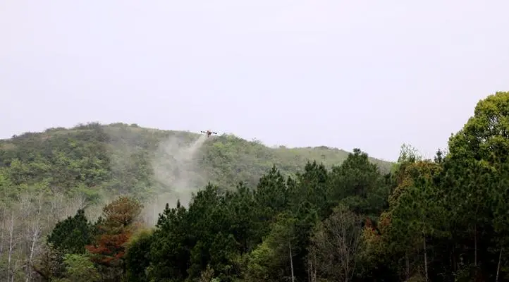 图片[1]-Drones enter the mountain to “clear” pine caterpillars-msoen